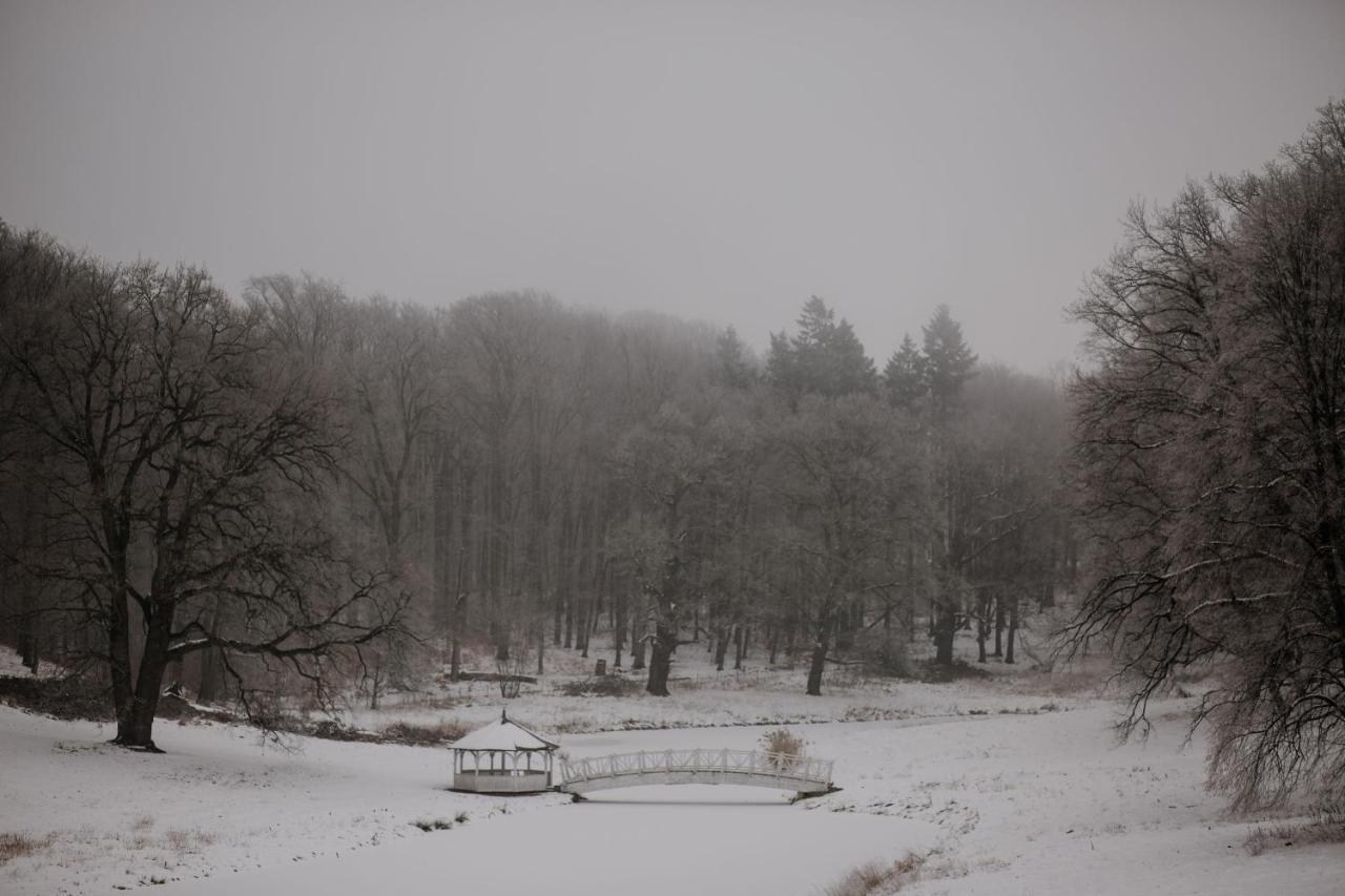 Palac Wąsowo Exteriör bild
