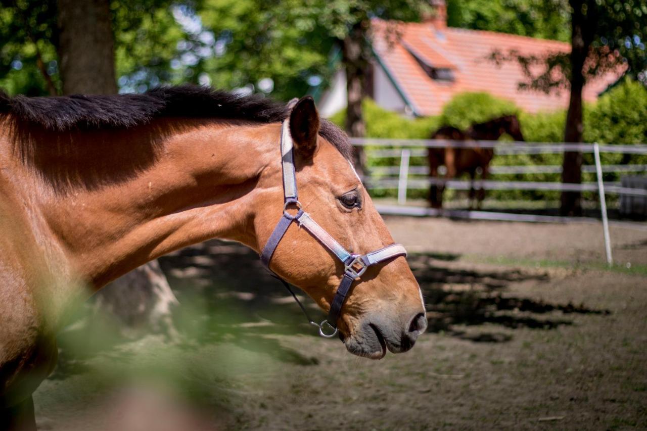 Palac Wąsowo Exteriör bild