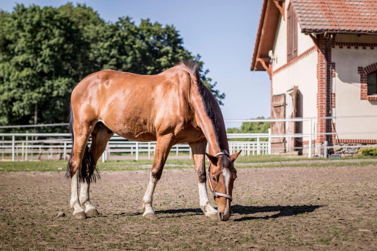 Palac Wąsowo Exteriör bild